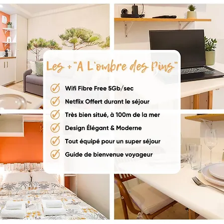 A L'Ombre Des Pins, Elegant, 100M De La Mer